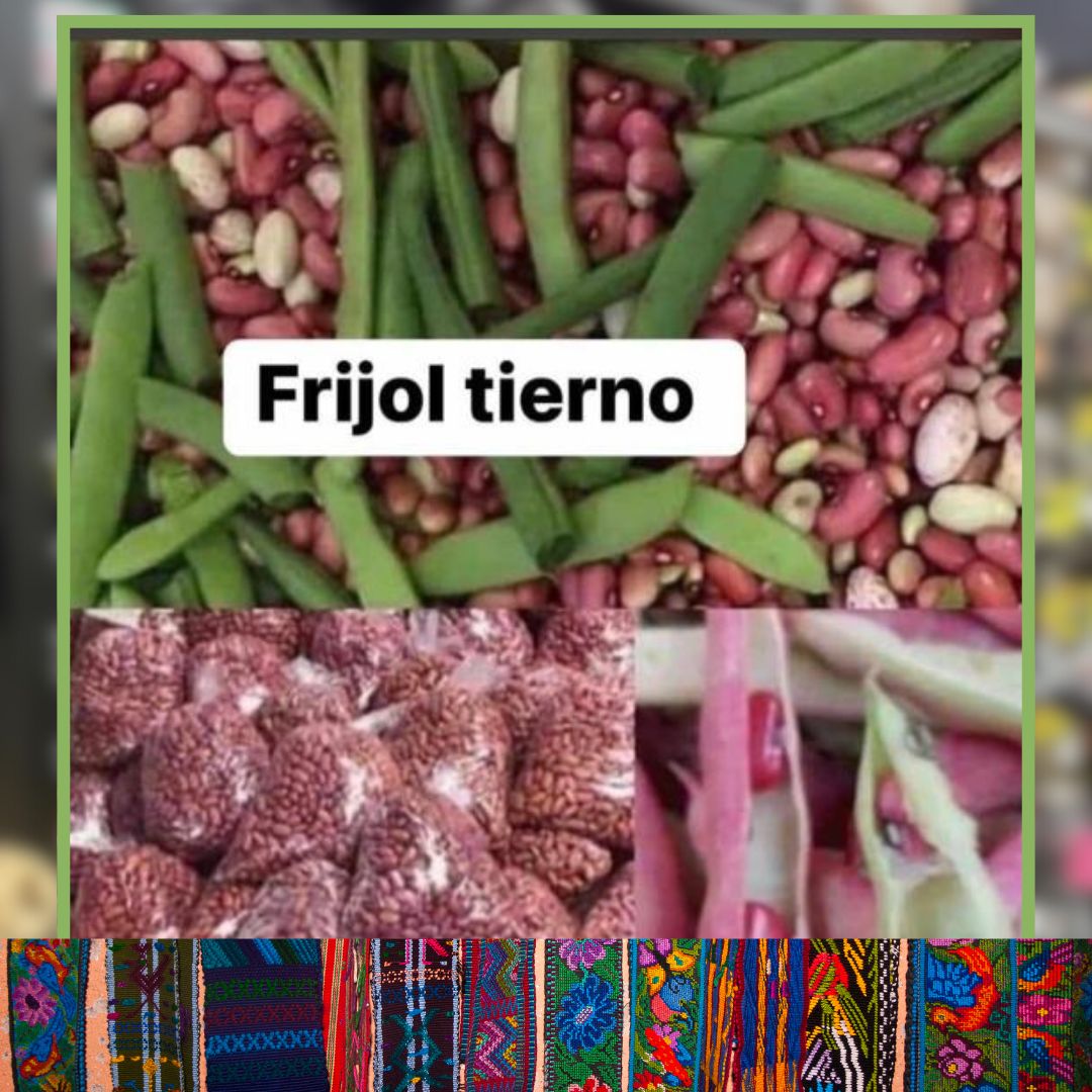 frijoltierno